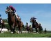 Carrera: P.Nouvel An Monta: B.Fayos Caballo: Otto